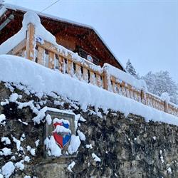 Chalet Le Coutzet