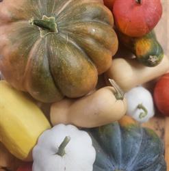 Petit Marché Bio