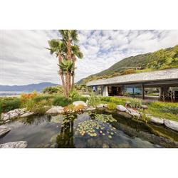 CHIVA SUN Holistic Healing Center & Spa