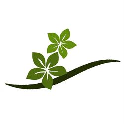 Nittaya Gesundheit-Thai-Massage