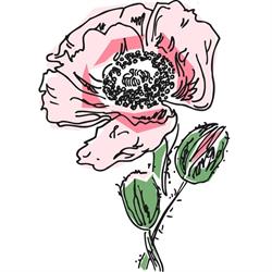 Stadtblumen GmbH