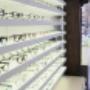 Optik Unternährer Hochdorf