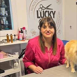 Hundesalon Lucky Dog