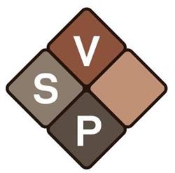 Verband Schweizerischer Pflästerermeister