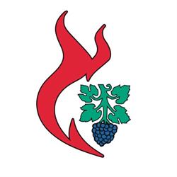 Feuerwehr St.Margrethen