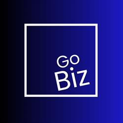 Gobiz Sàrl Informatique