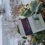 Luzerner-Fusspflege_Januar2024_1