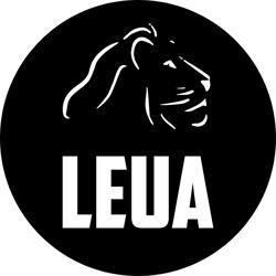 Leua Diepoldsau
