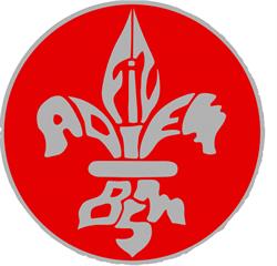 Brigade De Saleuscex - Scouts De Montreux