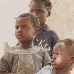 Barika Foundation
