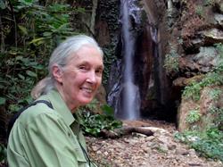 Jane Goodall Institut Schweiz - Stiftung Für Forschung, Bildung Und Umweltschutz