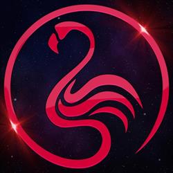 Flamingo Club - Zürich