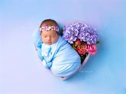 Fotostudio babybella.ch