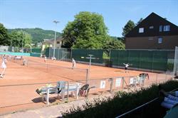 TC Arlesheim
