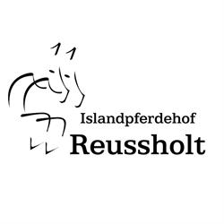 Islandpferdehof Reussholt