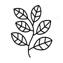 7-bio