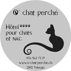 O’ chat perché