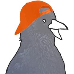 Lernrabe