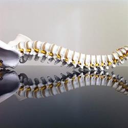 Orange Physiotherapie GmbH