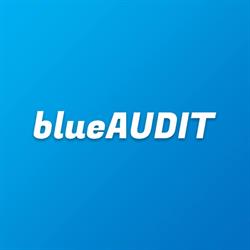 blueAUDIT GmbH