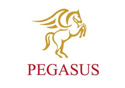 PEGASUS Advokatur