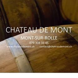 Château de Mont