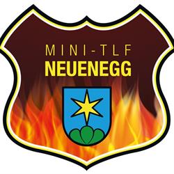 Mini-TLF