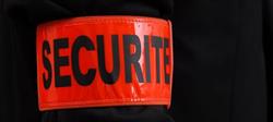 Pro Security Bodyguard