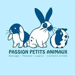 Passion Petits Animaux - Elevage et pension à Ballens / lapins nains - cochons d'Inde