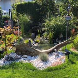 Rüeger Gartenunterhalt