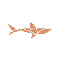 capegin GmbH