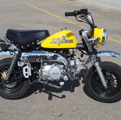 Skyteam Moto Switzerland