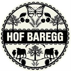 Hof Baregg