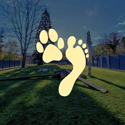NF Dogshome AG