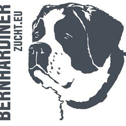 Bernhardinerzucht
