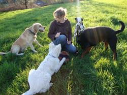 Hundebetreuung Happydogs
