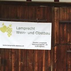Lamprecht Wein-und Obstbau
