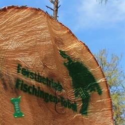 Forstbetrieb Fischingen- Tobel