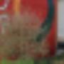 Biopower-Anlage Pratteln