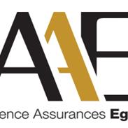 AAE Agence Assurance Egli