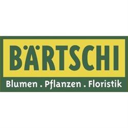 Bärtschi Blumen Pflanzen Floristik