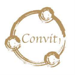 Convit Central GmbH