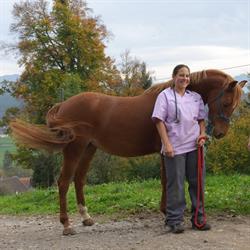 Mobile Tierarztpraxis Meier