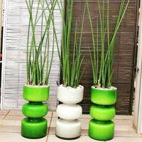 Design Flowers
