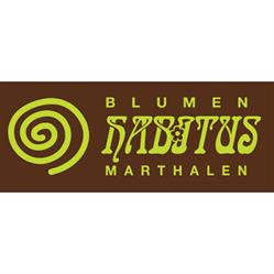 Blumen Habitus, Regula Elmer