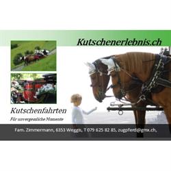 Kutschenerlebnis