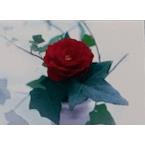 Sonja's Blumenboutique