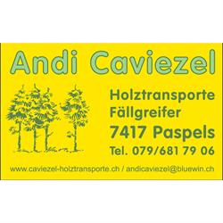 Andi Caviezel Holztransporte