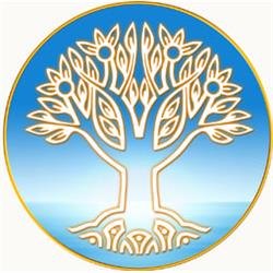 Institut Maharishi