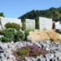 Rüegg Begrünungen & Gartenbau AG